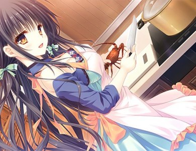 otome-domain-pcgame-001